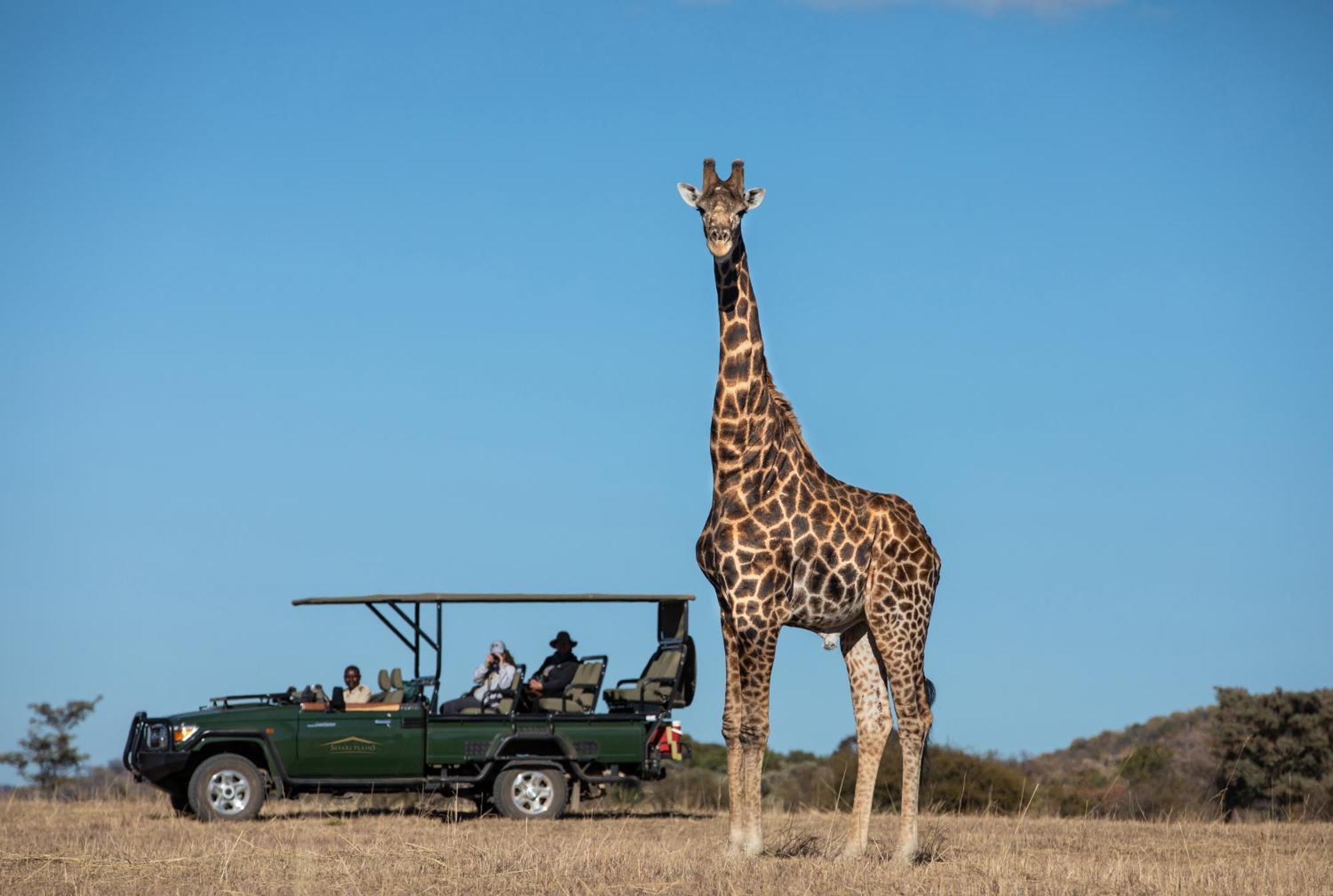 Safari Plains Villa Mabula Game Reserve Eksteriør billede