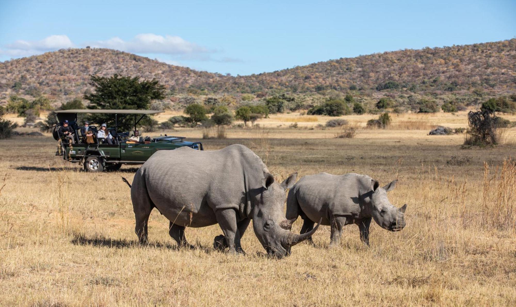 Safari Plains Villa Mabula Game Reserve Eksteriør billede
