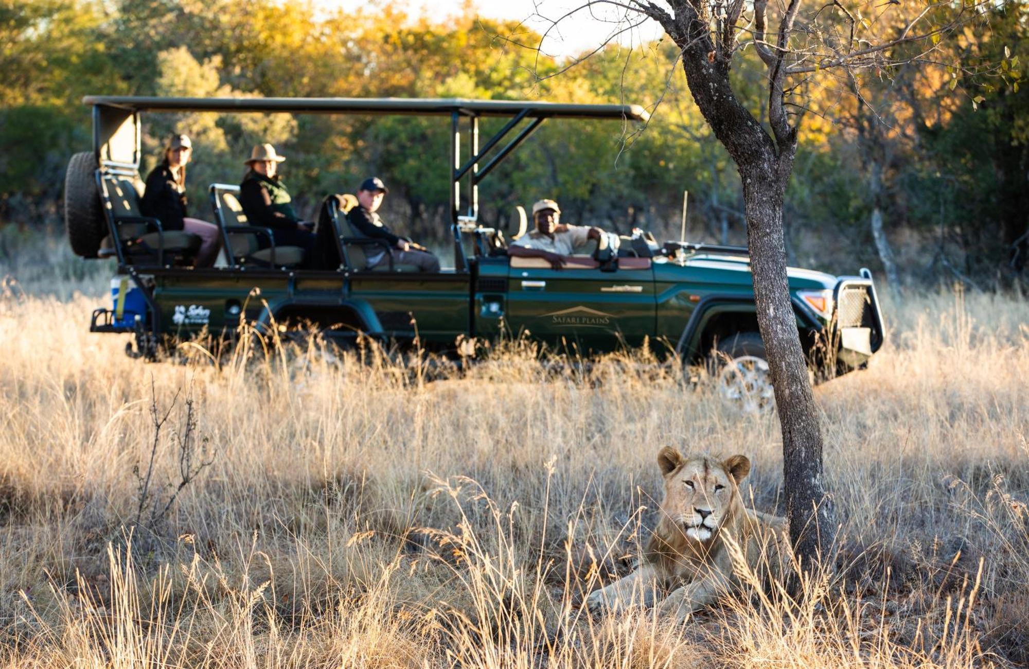 Safari Plains Villa Mabula Game Reserve Eksteriør billede