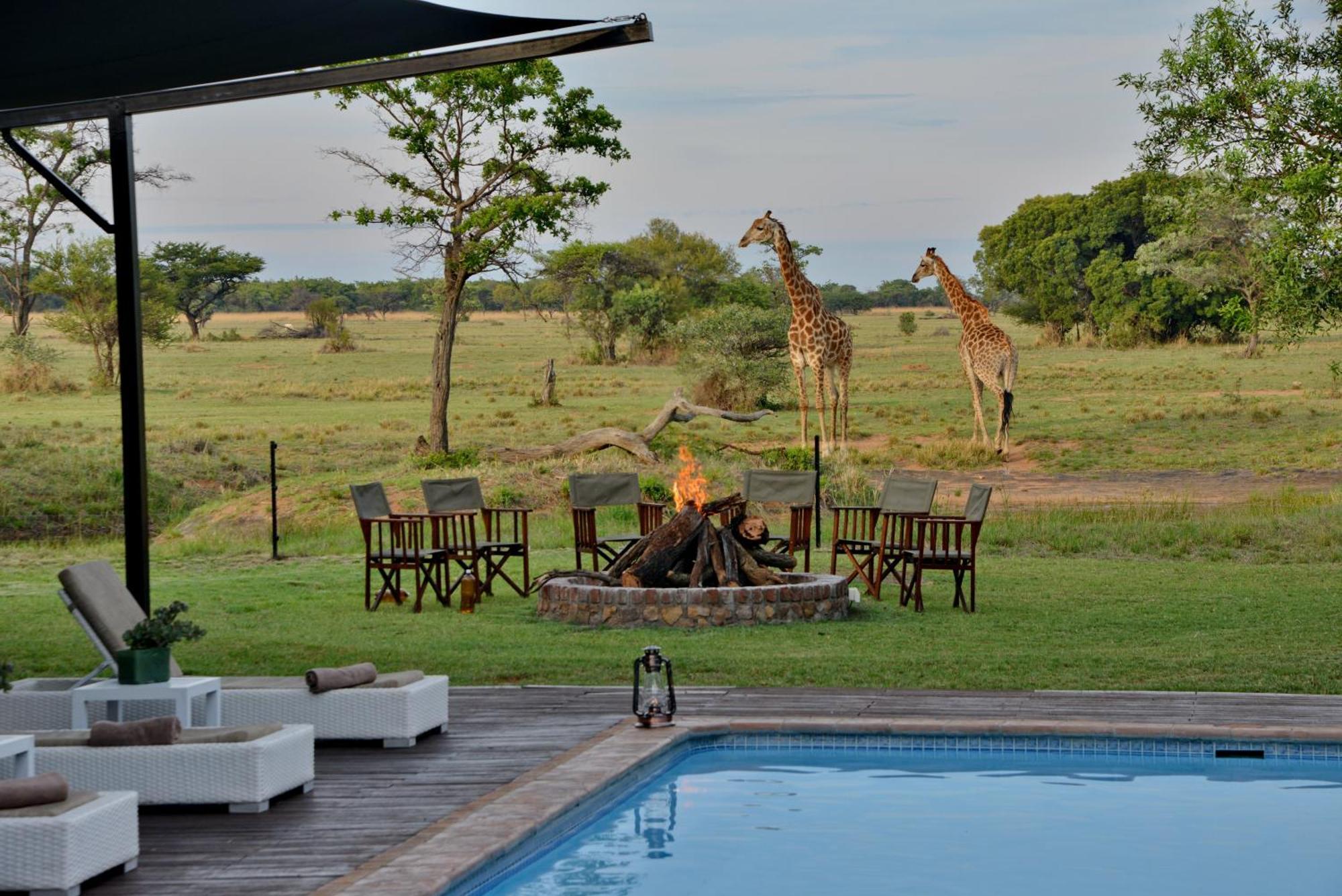 Safari Plains Villa Mabula Game Reserve Eksteriør billede